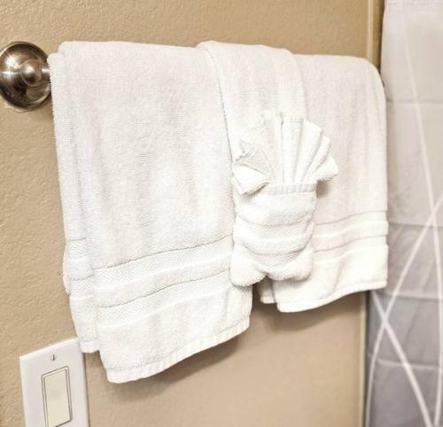 362big_photo_19_2025-08-19_12-27-20