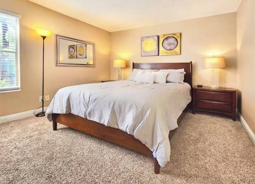 480big_photo_2_2025-08-19_12-27-20